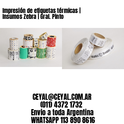 Impresión de etiquetas térmicas | Insumos Zebra | Gral. Pinto