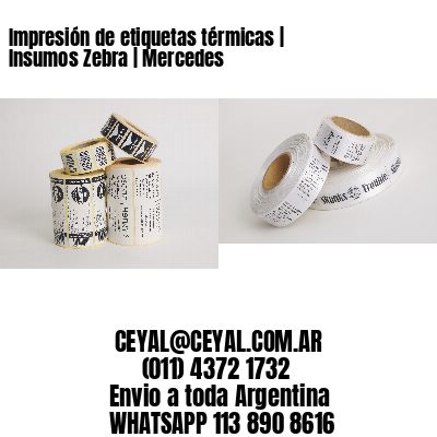 Impresión de etiquetas térmicas | Insumos Zebra | Mercedes
