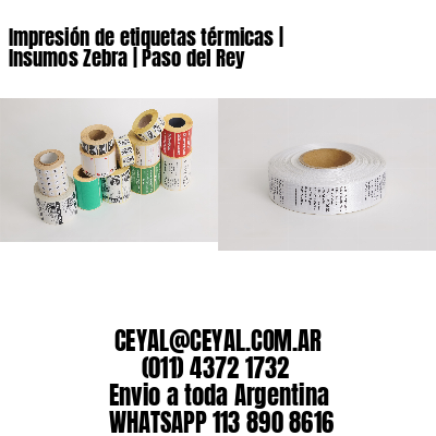 Impresión de etiquetas térmicas | Insumos Zebra | Paso del Rey