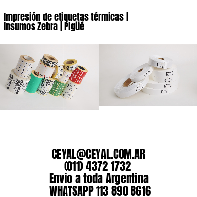 Impresión de etiquetas térmicas | Insumos Zebra | Pigüé