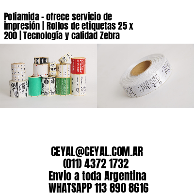 Poliamida – ofrece servicio de impresión | Rollos de etiquetas 25 x 200 | Tecnología y calidad Zebra