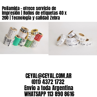 Poliamida – ofrece servicio de impresión | Rollos de etiquetas 40 x 200 | Tecnología y calidad Zebra