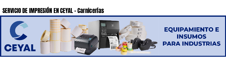 SERVICIO DE IMPRESIÓN EN CEYAL - Carnicerías
