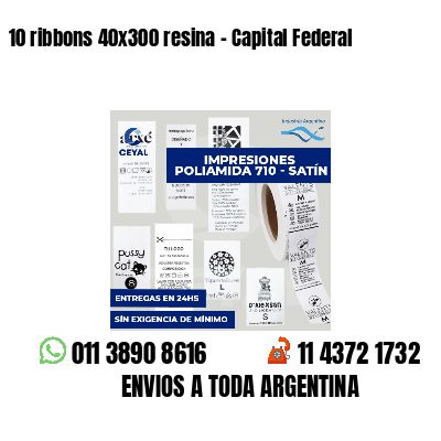 10 ribbons 40x300 resina - Capital Federal