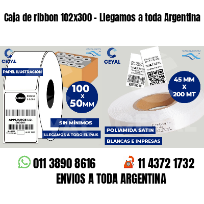 Caja de ribbon 102x300 - Llegamos a toda Argentina