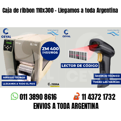 Caja de ribbon 110x300 - Llegamos a toda Argentina