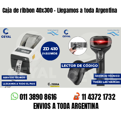 Caja de ribbon 40x300 - Llegamos a toda Argentina