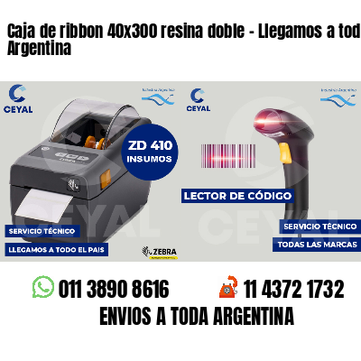 Caja de ribbon 40x300 resina doble - Llegamos a toda Argentina