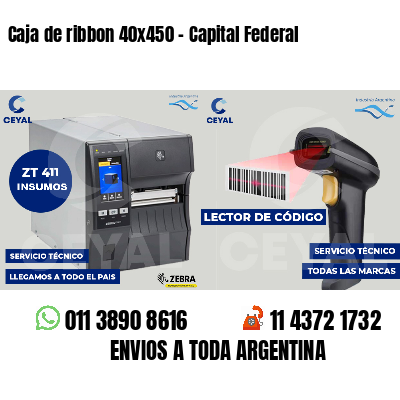 Caja de ribbon 40x450 - Capital Federal