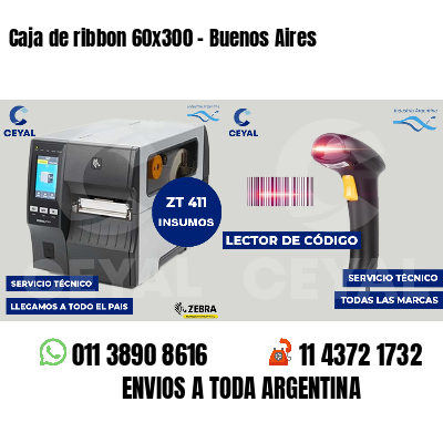 Caja de ribbon 60x300 - Buenos Aires