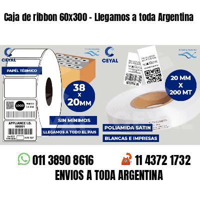 Caja de ribbon 60x300 - Llegamos a toda Argentina