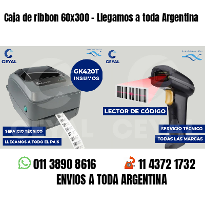 Caja de ribbon 60x300 - Llegamos a toda Argentina