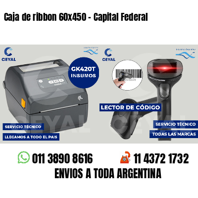 Caja de ribbon 60x450 - Capital Federal