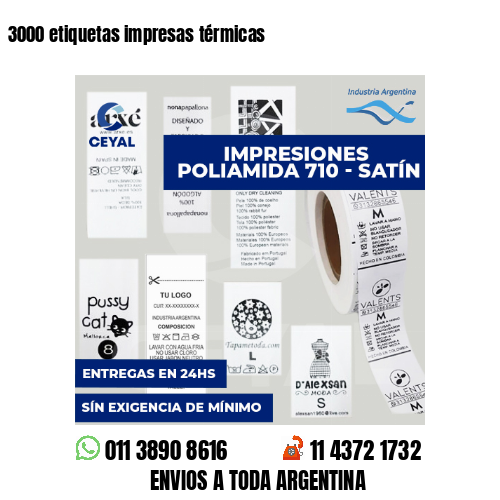 3000 etiquetas impresas térmicas