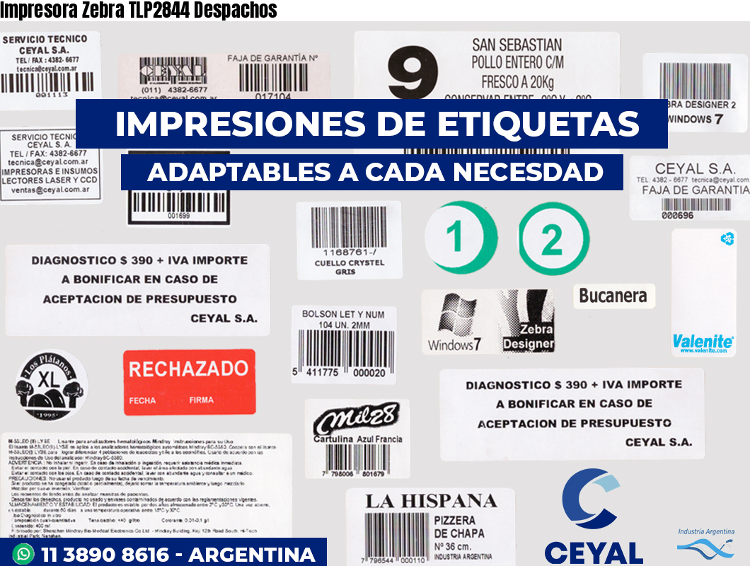 Impresora Zebra TLP2844 Despachos