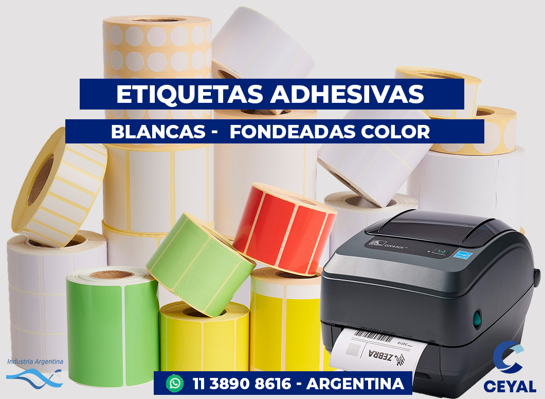 🖨️ Servicio de Impresión de Calidad en 24 horas 🕒