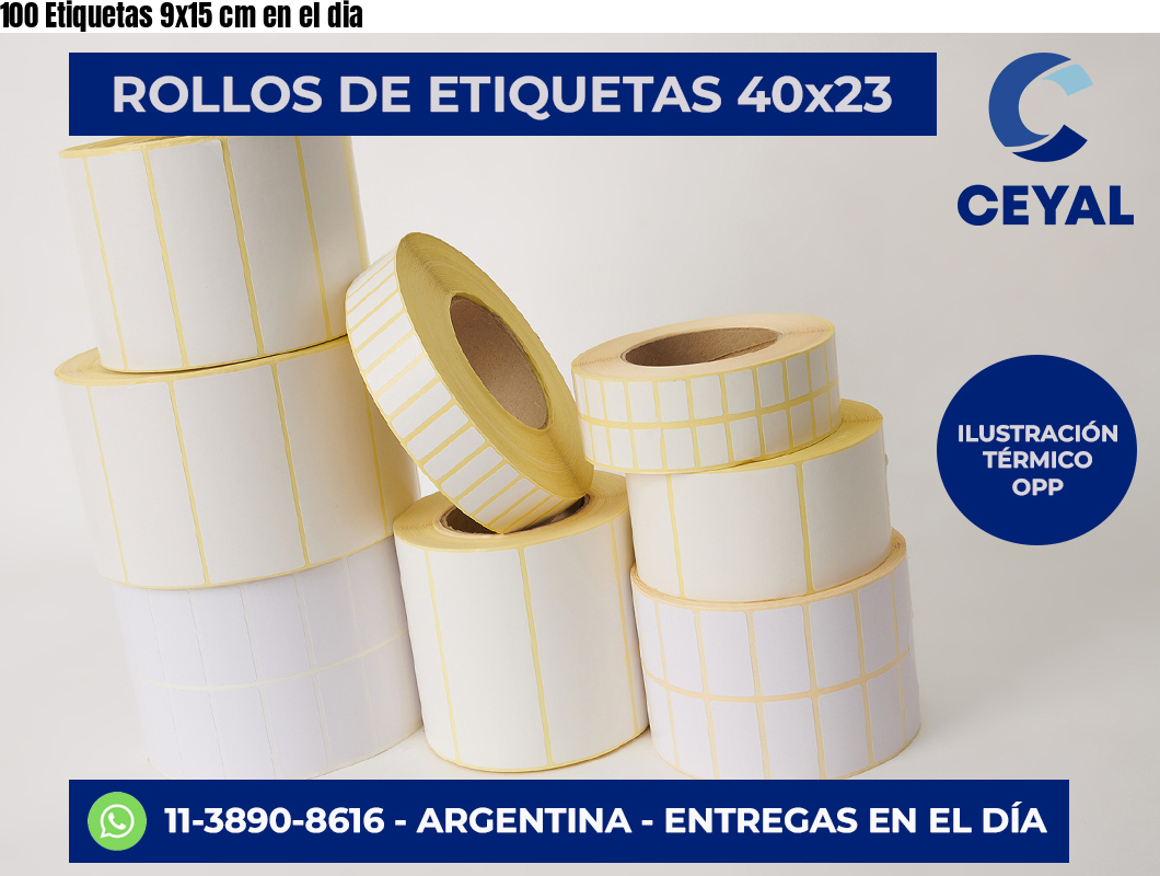 100 Etiquetas 9×15 cm en el dia
