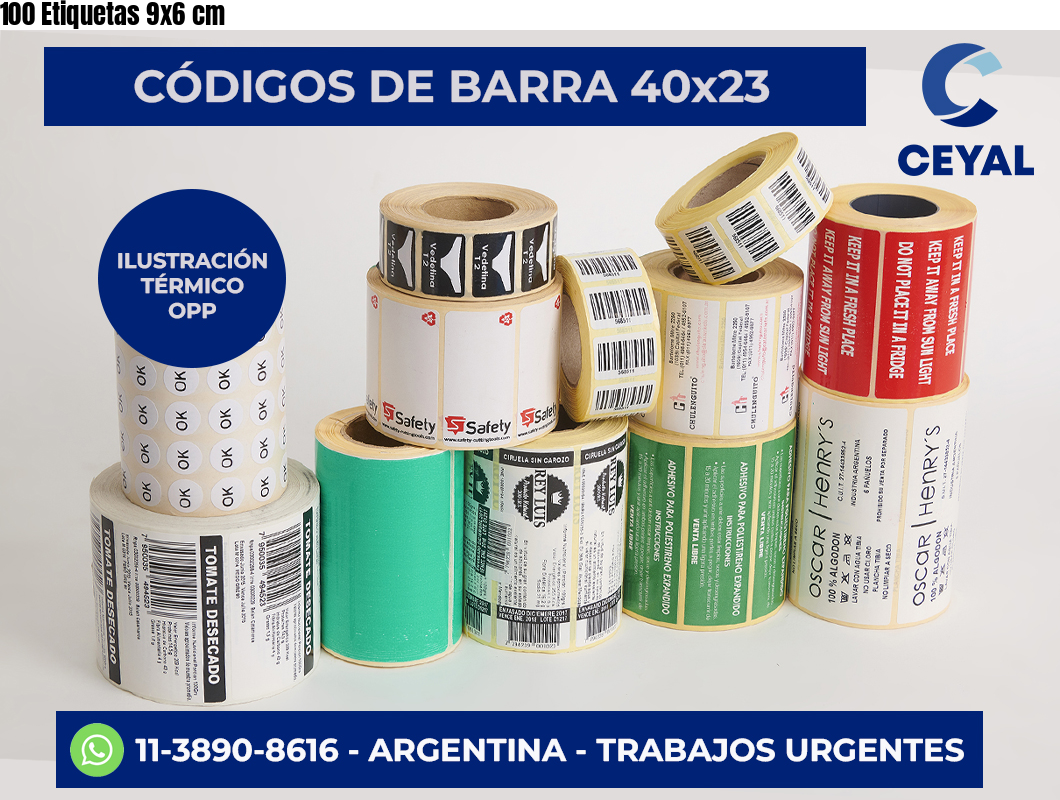 100 Etiquetas 9×6 cm