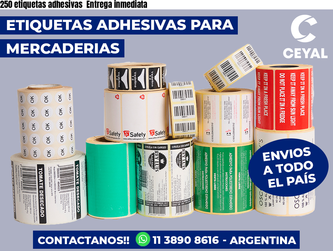 250 etiquetas adhesivas  Entrega inmediata