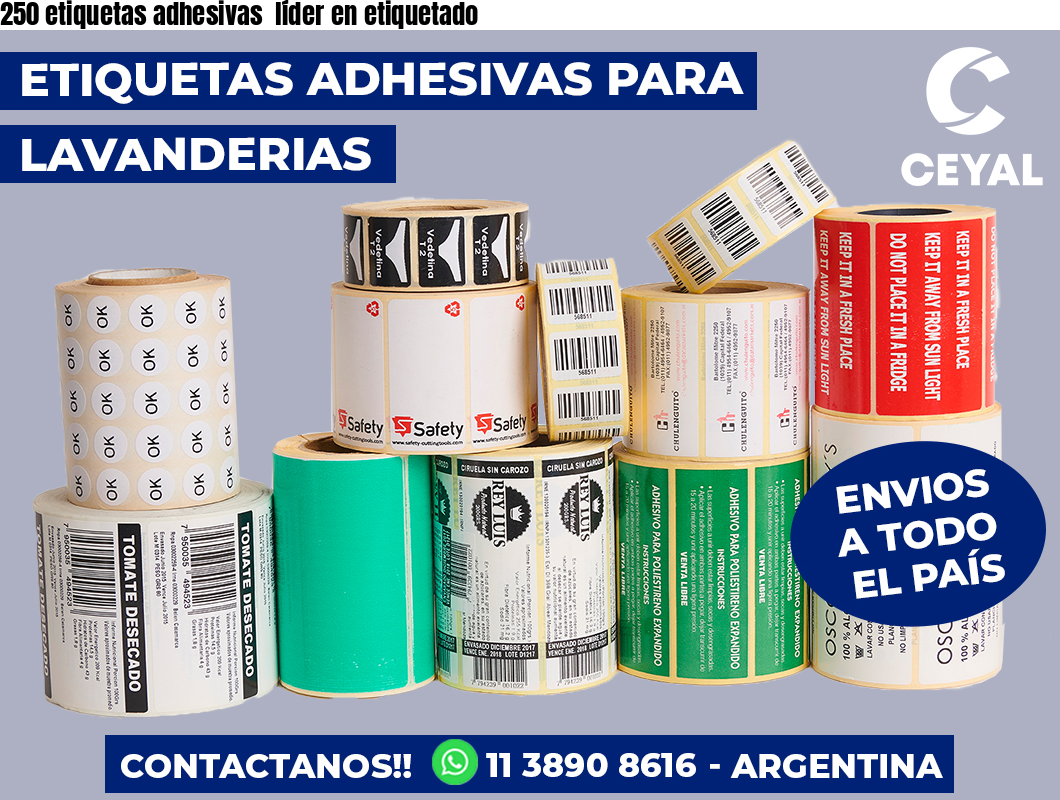250 etiquetas adhesivas  líder en etiquetado