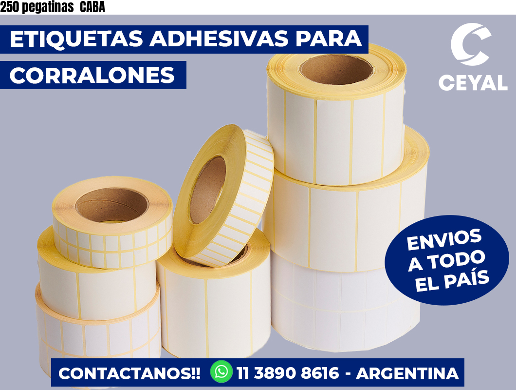 250 pegatinas CABA