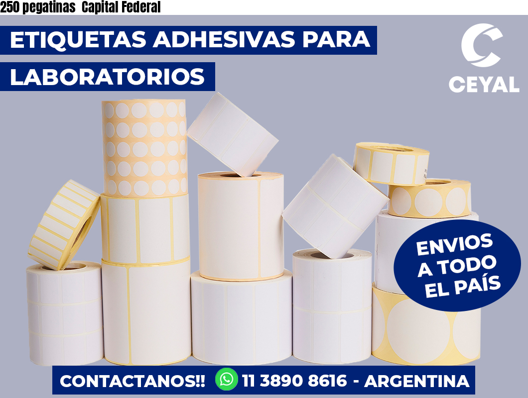 250 pegatinas  Capital Federal