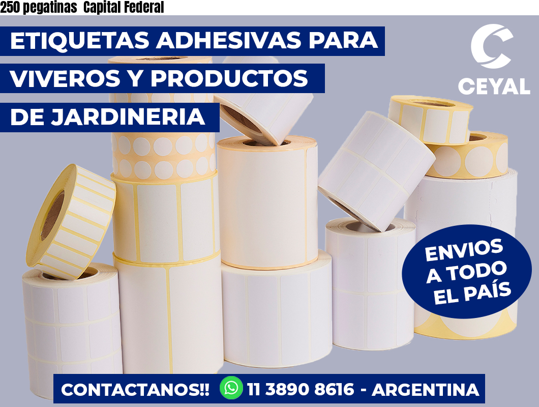 250 pegatinas  Capital Federal