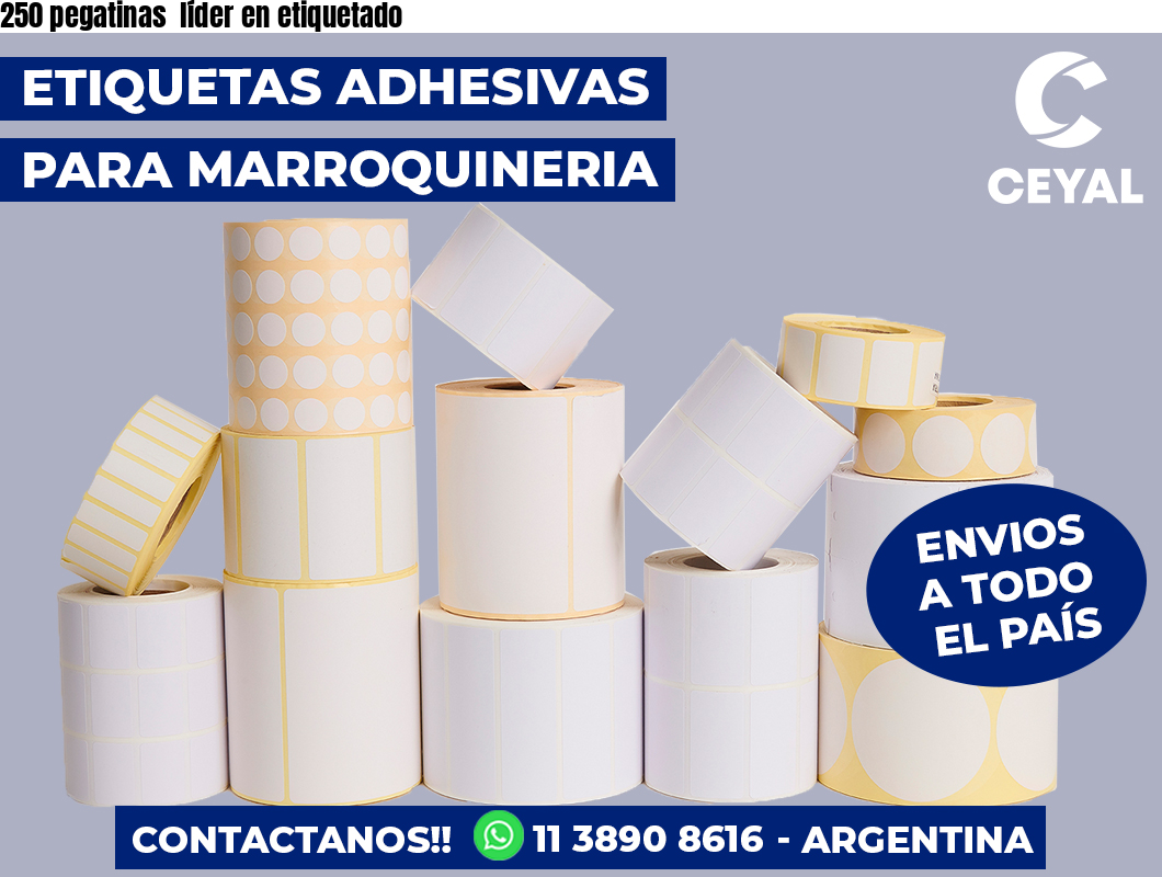 250 pegatinas líder en etiquetado