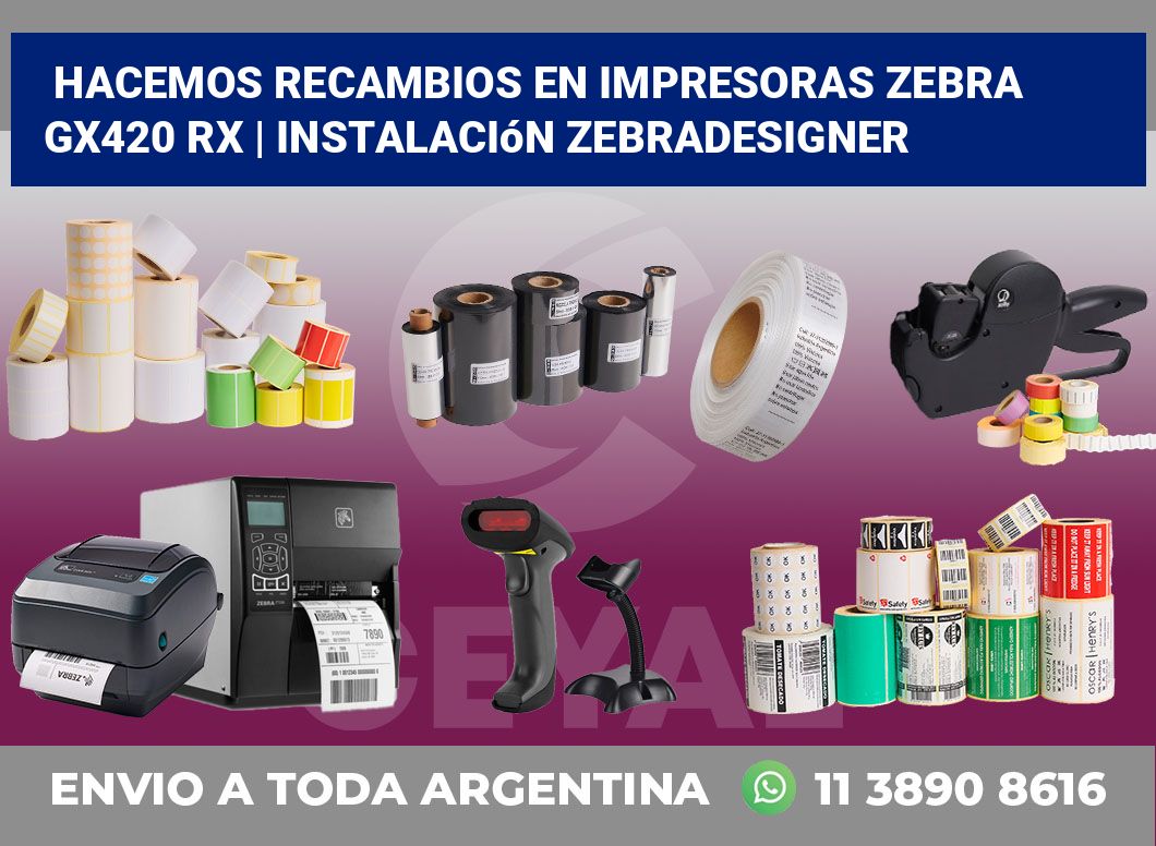 Hacemos recambios en impresoras Zebra GX420 RX | Instalación ZebraDesigner