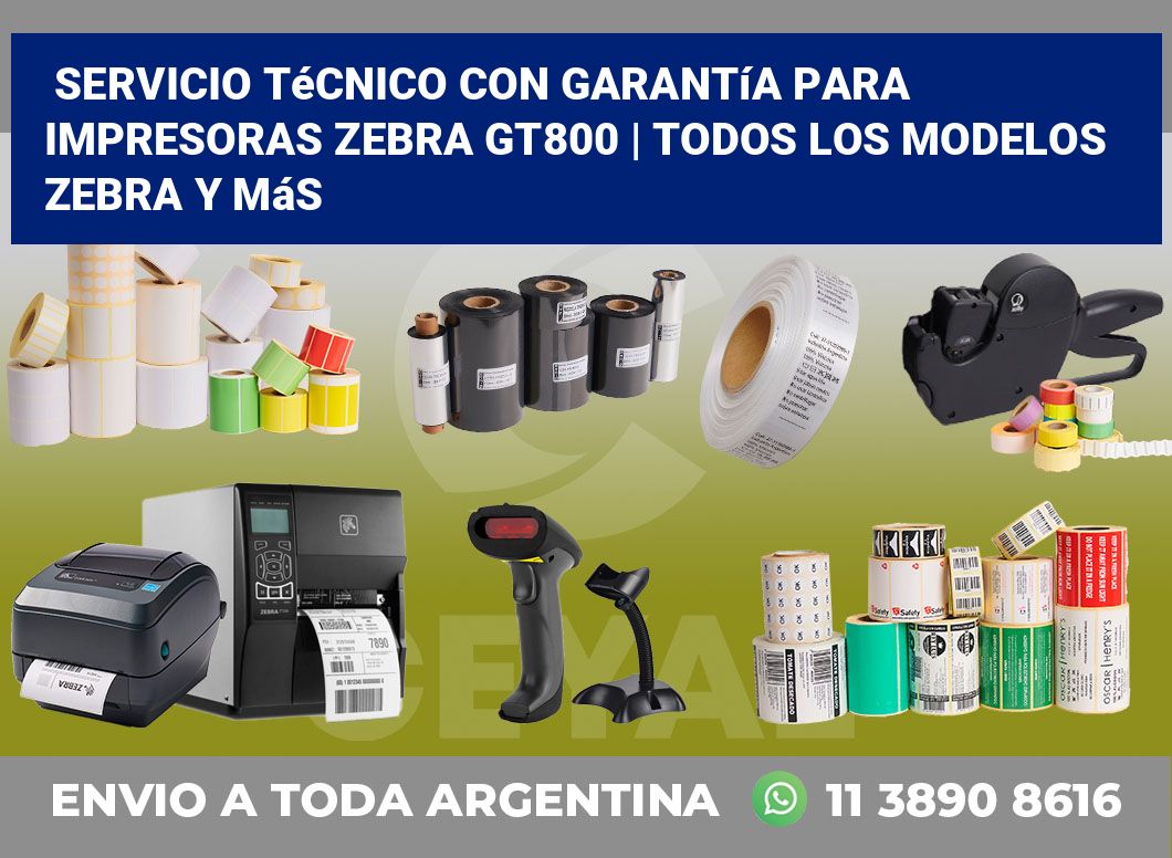 Servicio técnico con garantía para impresoras Zebra GT800 | Todos los modelos Zebra y más