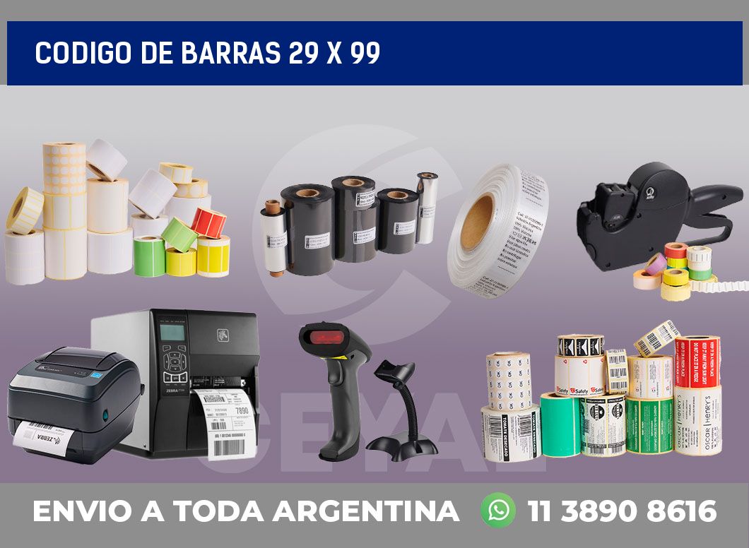 codigo de barras 29 x 99