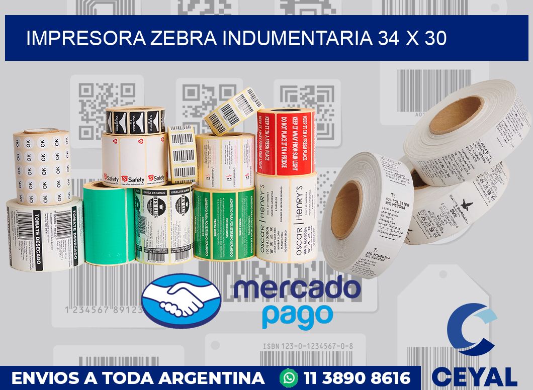 Impresora Zebra indumentaria 34 x 30