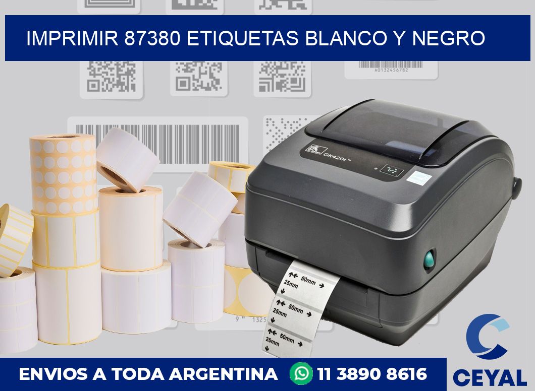 imprimir 87380 etiquetas blanco y negro