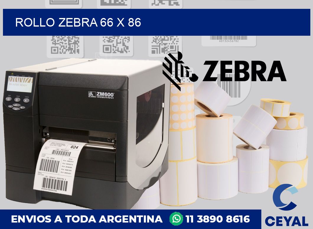 rollo zebra 66 x 86