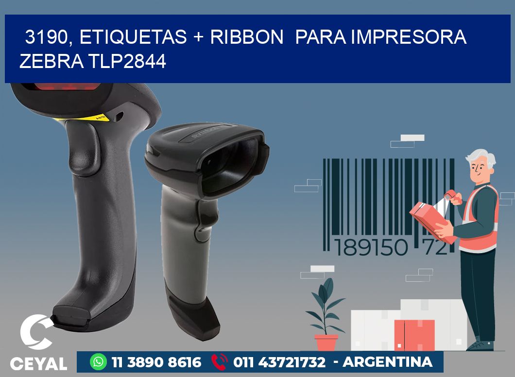3190, etiquetas + ribbon para impresora zebra TLP2844