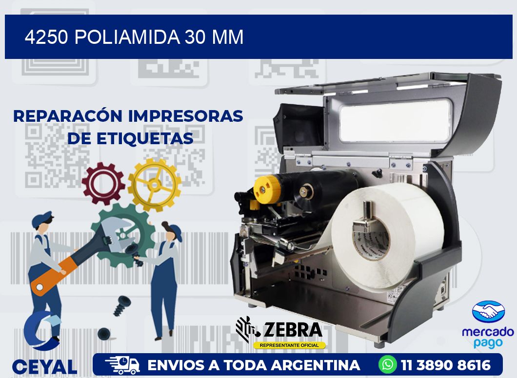 4250 POLIAMIDA 30 MM