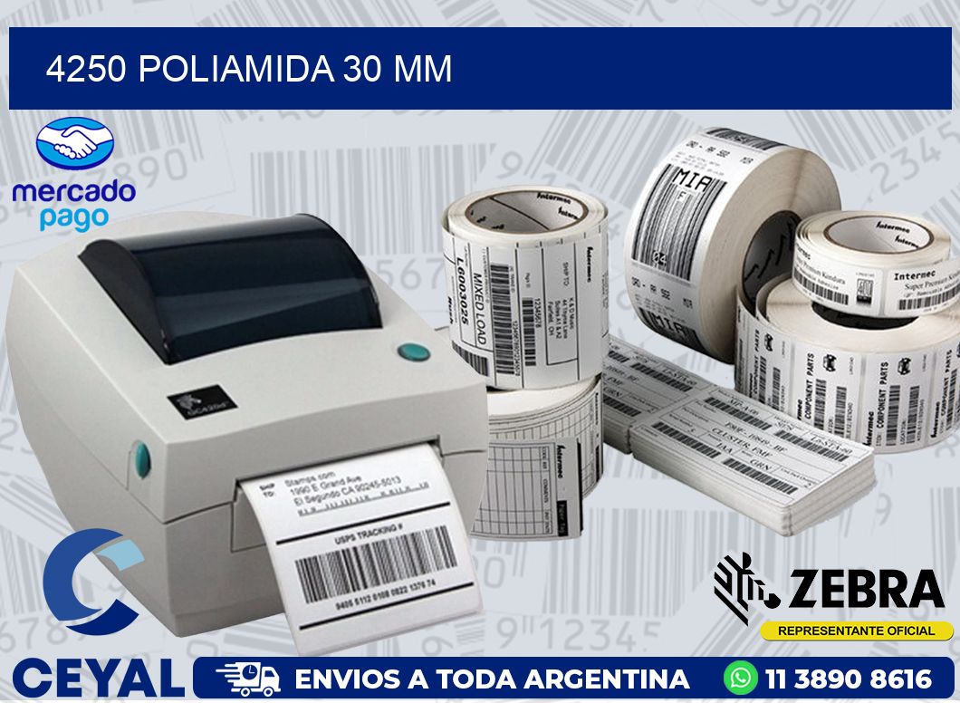 4250 POLIAMIDA 30 MM