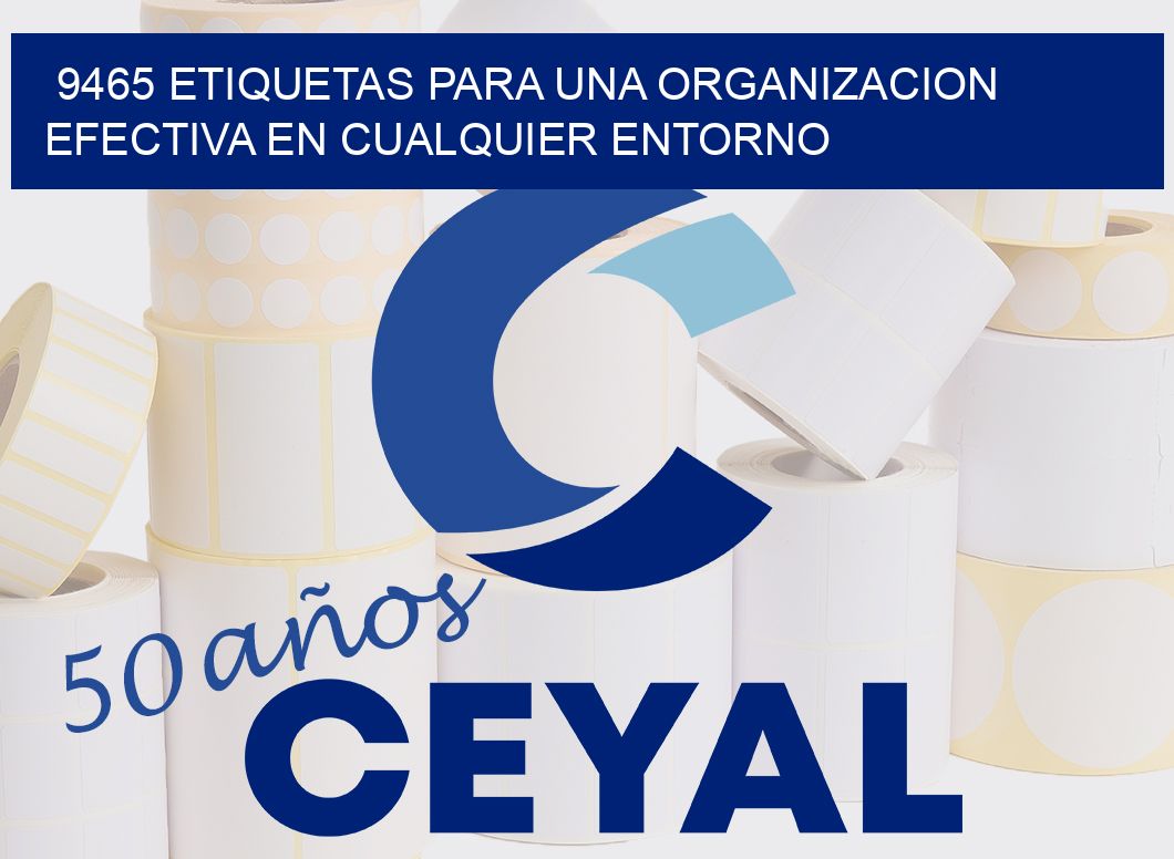 9465 ETIQUETAS PARA UNA ORGANIZACION EFECTIVA EN CUALQUIER ENTORNO