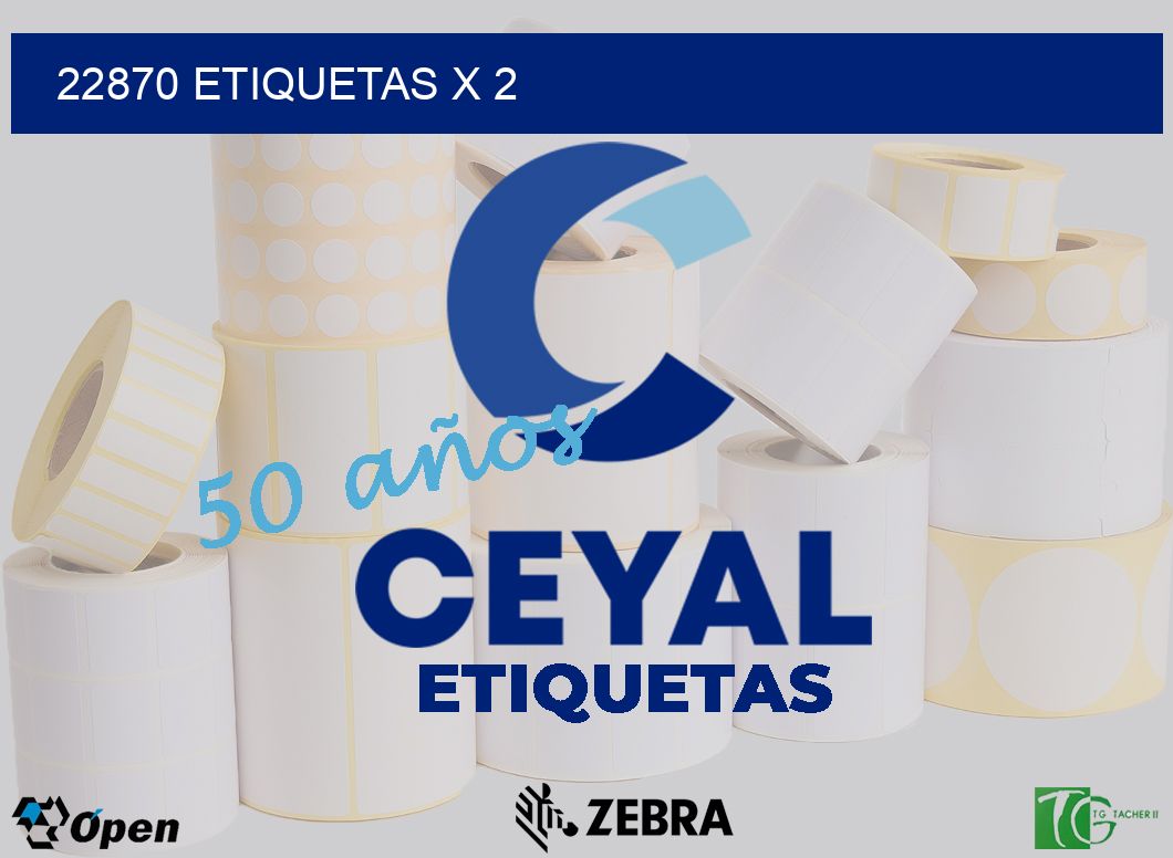 22870 Etiquetas x 2