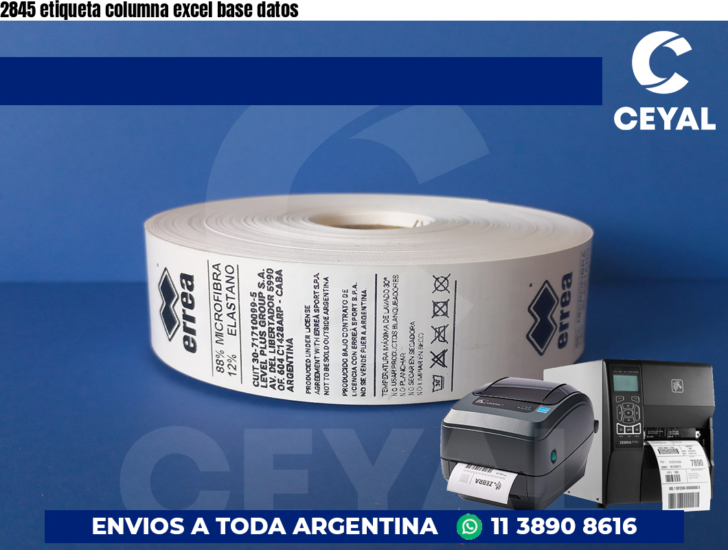 2845 etiqueta columna excel base datos