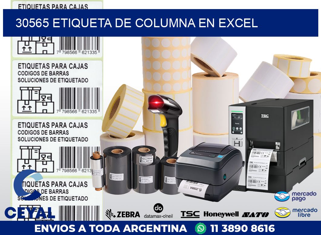 30565 Etiqueta de columna en Excel