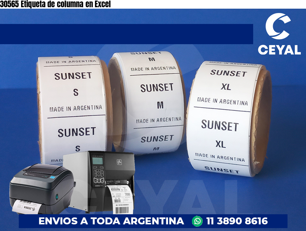 30565 Etiqueta de columna en Excel