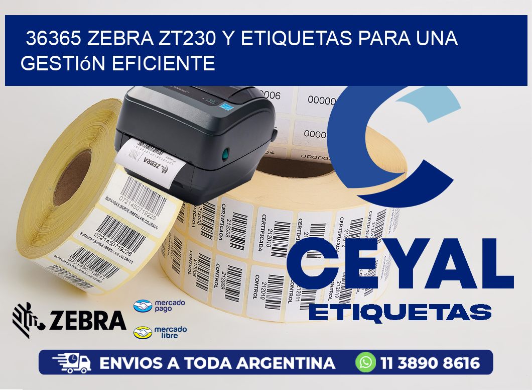 36365 Zebra ZT230 y Etiquetas para una Gestión Eficiente