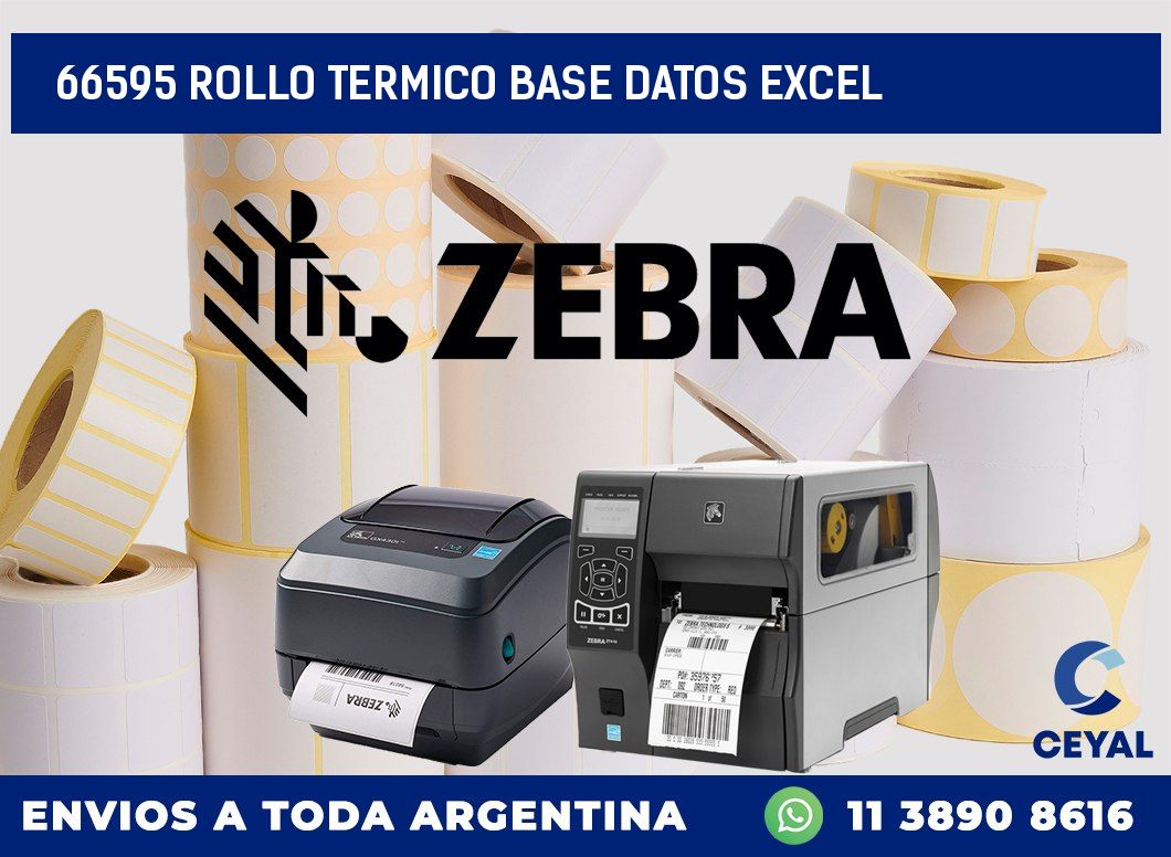 66595 rollo termico base datos excel