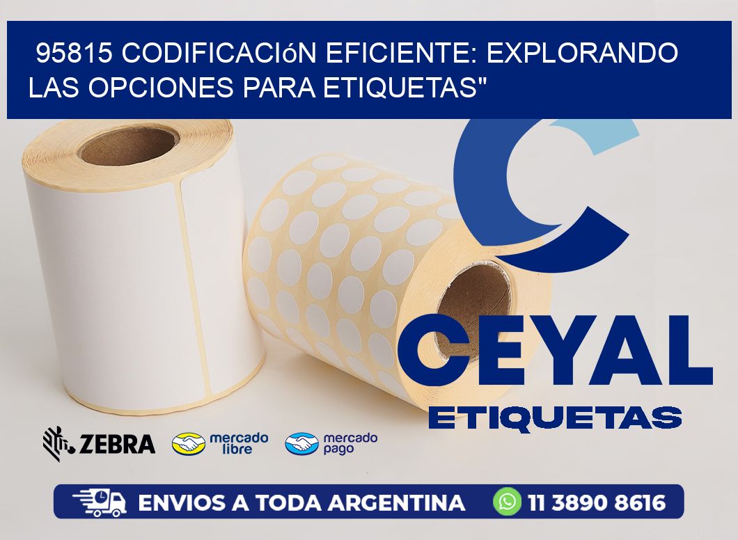 95815 Codificación Eficiente: Explorando las Opciones para Etiquetas
