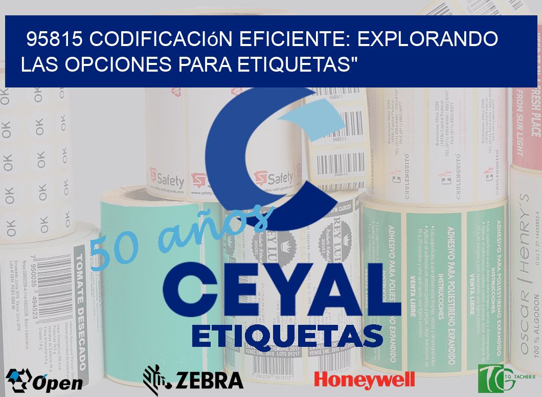 95815 Codificación Eficiente: Explorando las Opciones para Etiquetas»