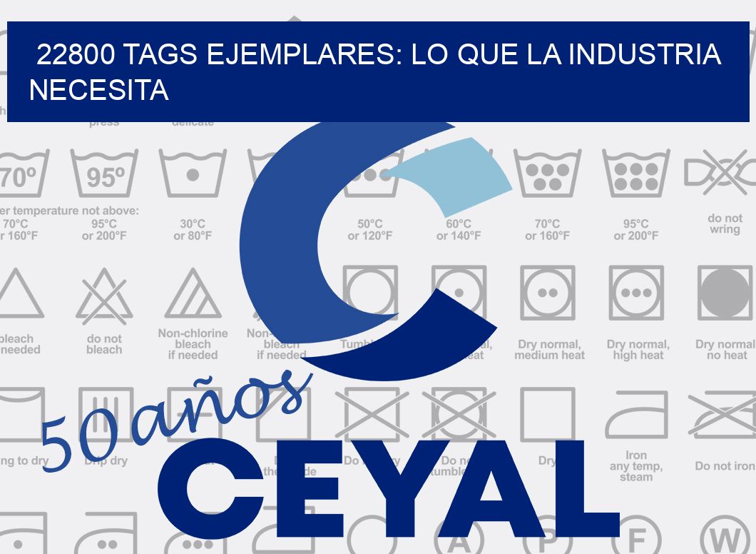 22800 TAGS EJEMPLARES: LO QUE LA INDUSTRIA NECESITA