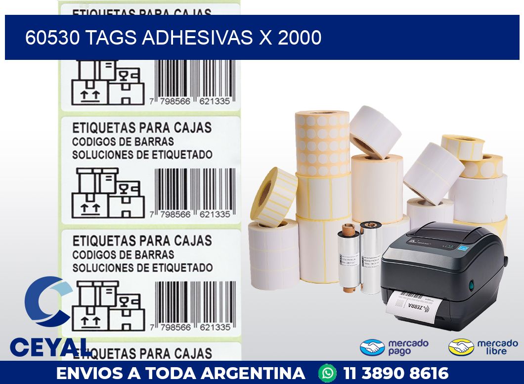60530 TAGS ADHESIVAS X 2000