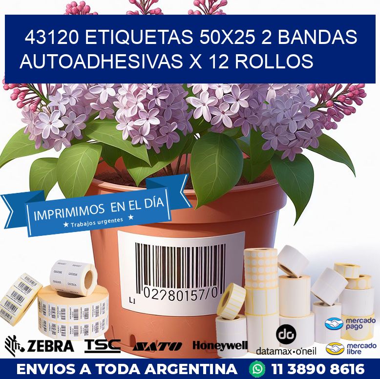 43120 ETIQUETAS 50X25 2 BANDAS AUTOADHESIVAS X 12 ROLLOS
