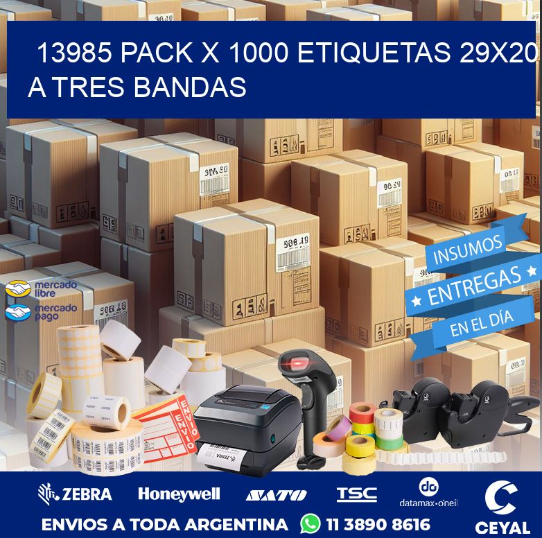 13985 PACK X 1000 ETIQUETAS 29X20 A TRES BANDAS